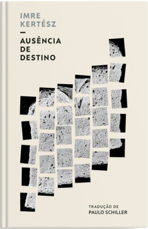 Ausência de destino