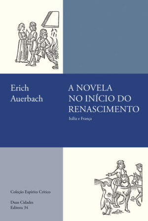 A novela no início do Renascimento