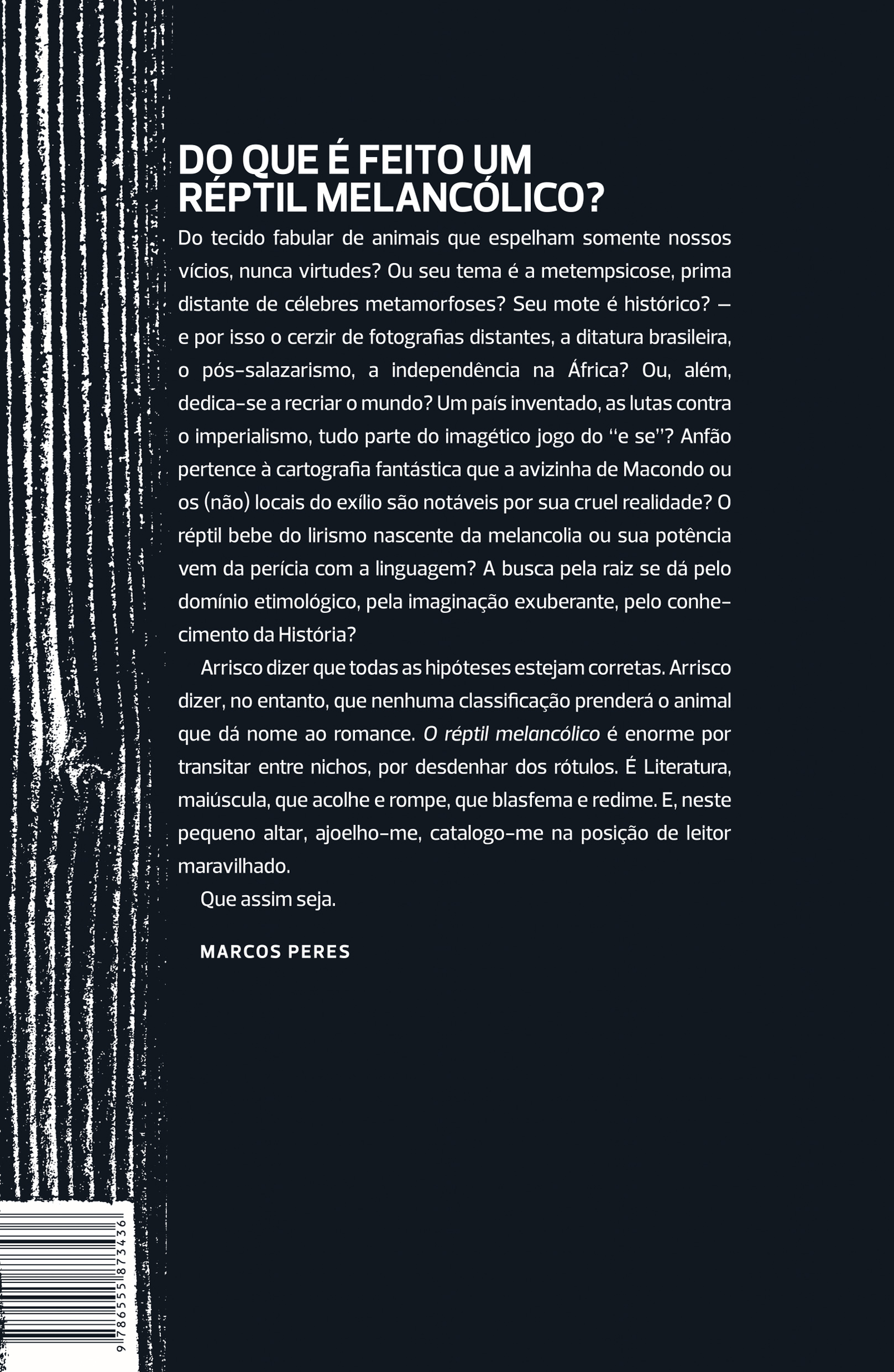 O réptil melancólico - Imagem 2
