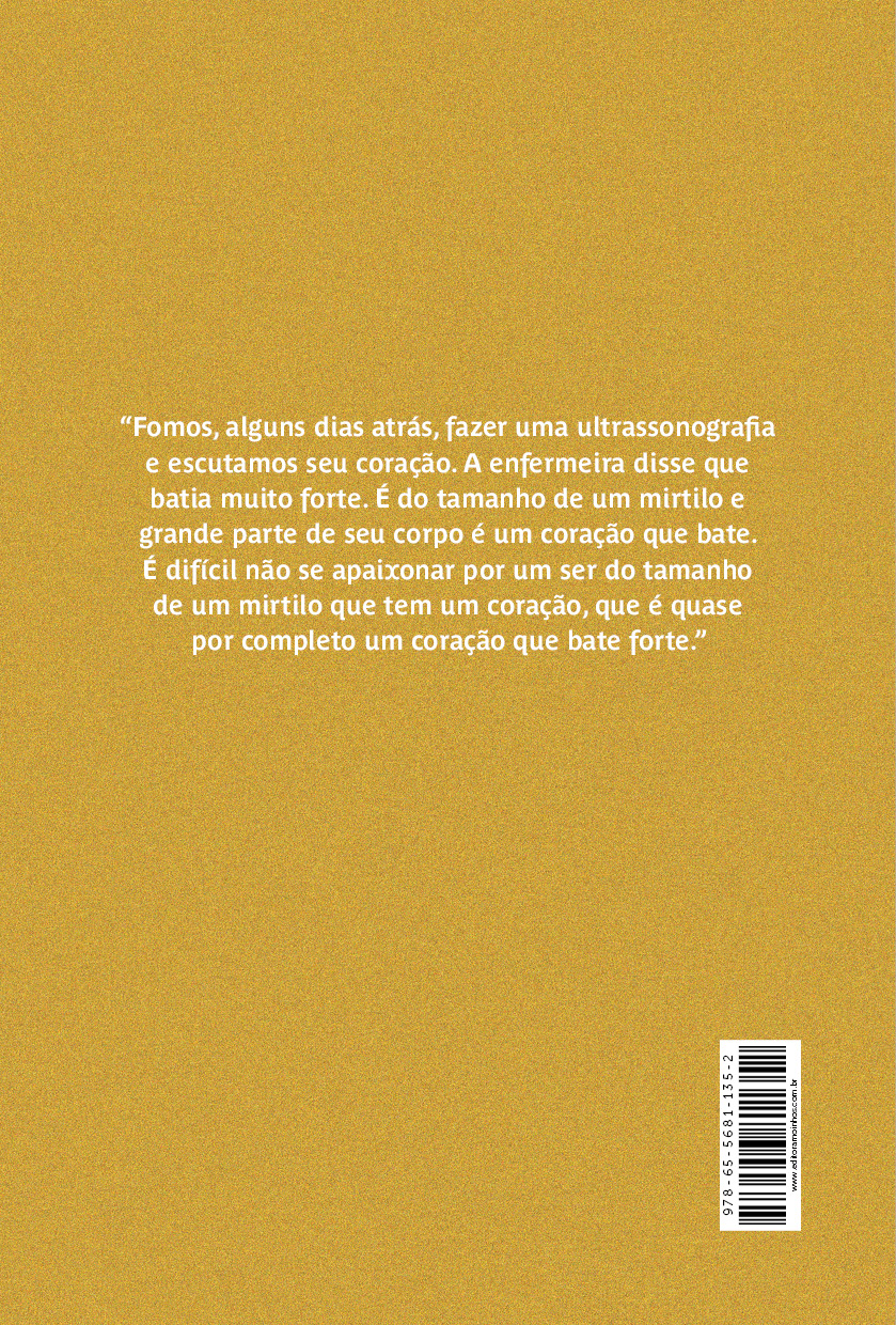 Linea Nigra - Imagem 2