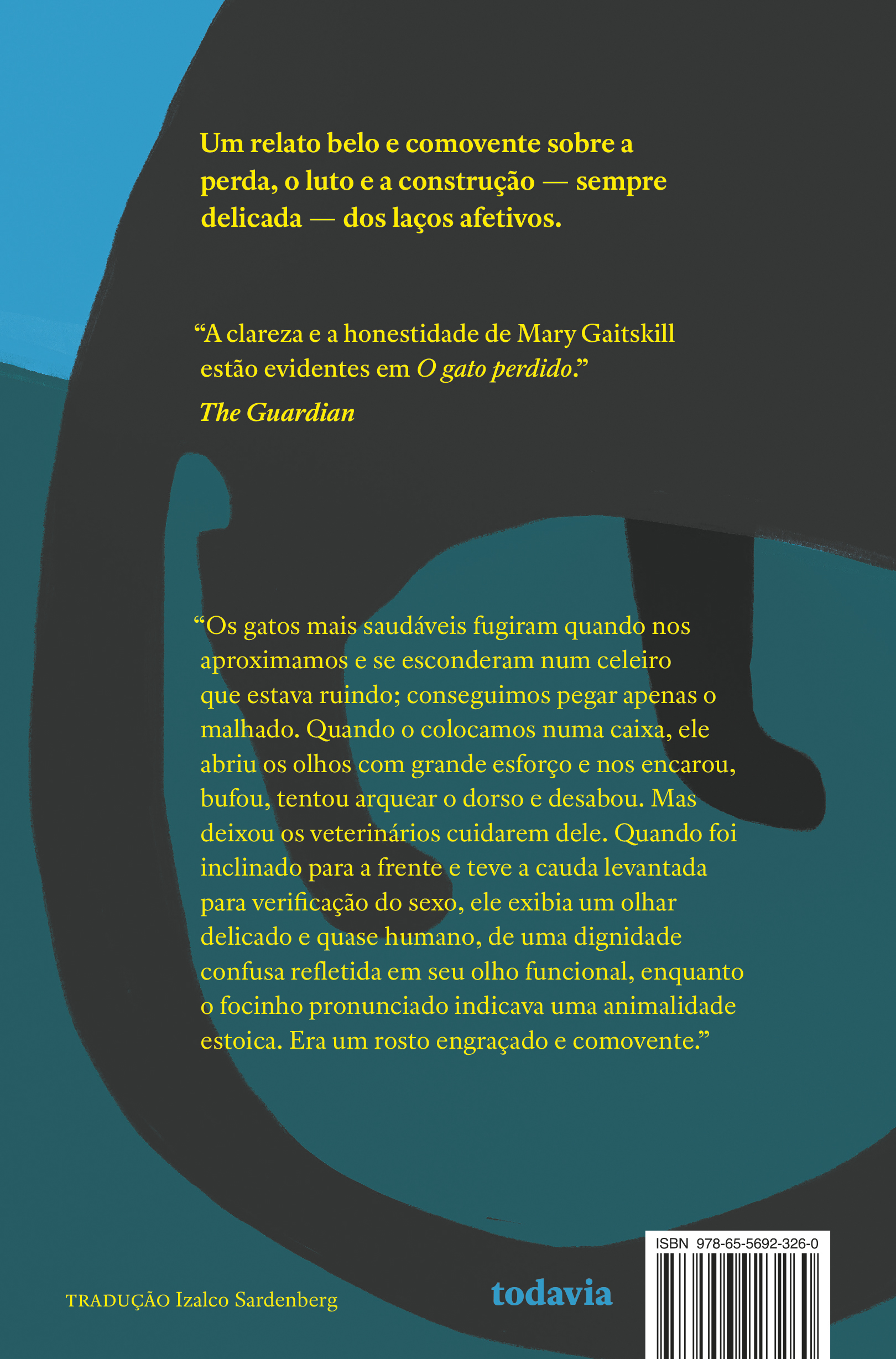 O gato perdido - Imagem 2