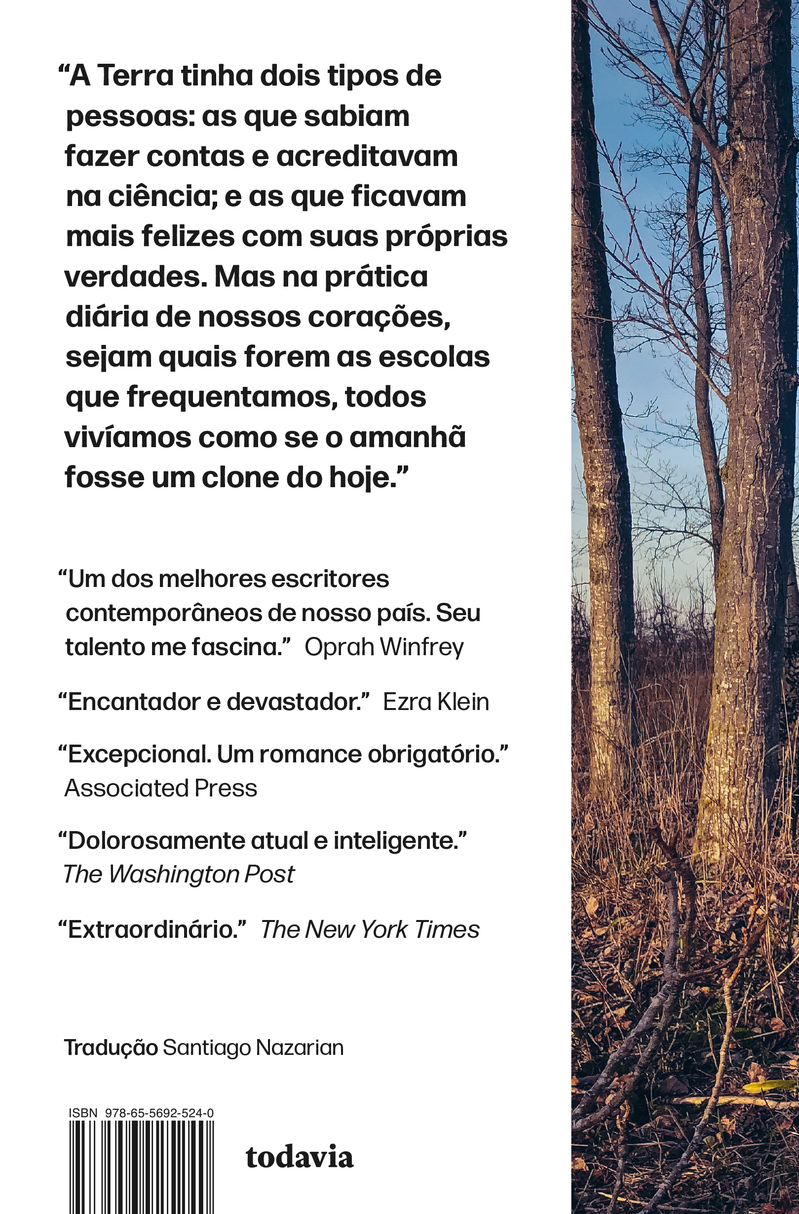 Deslumbramento - Imagem 2