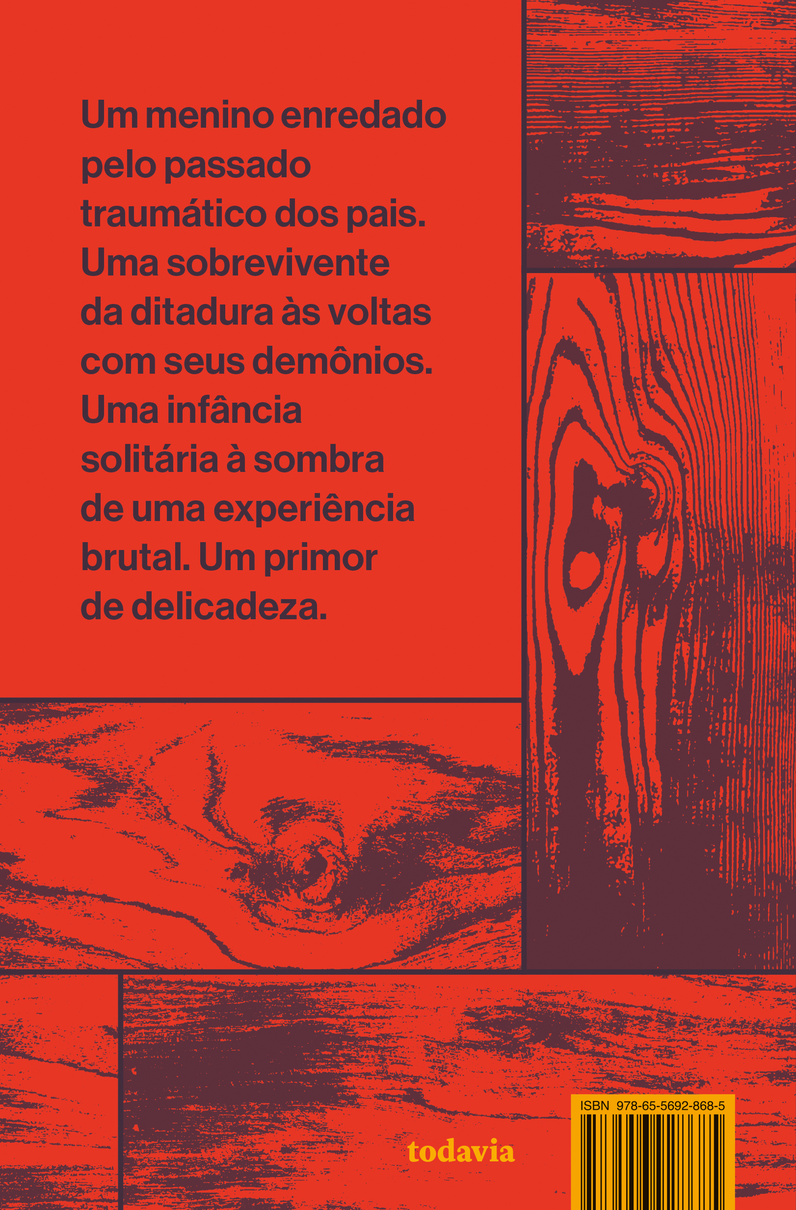 O hipopótamo - Imagem 2
