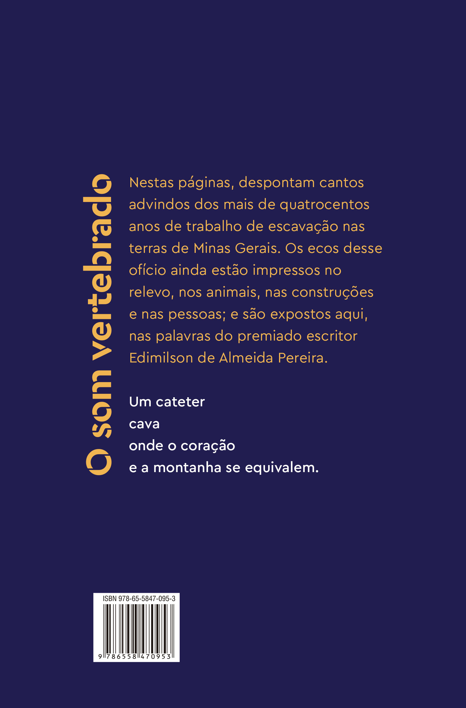 O som vertebrado - Imagem 2