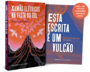 Xamãs elétricos na festa do sol (com brinde)