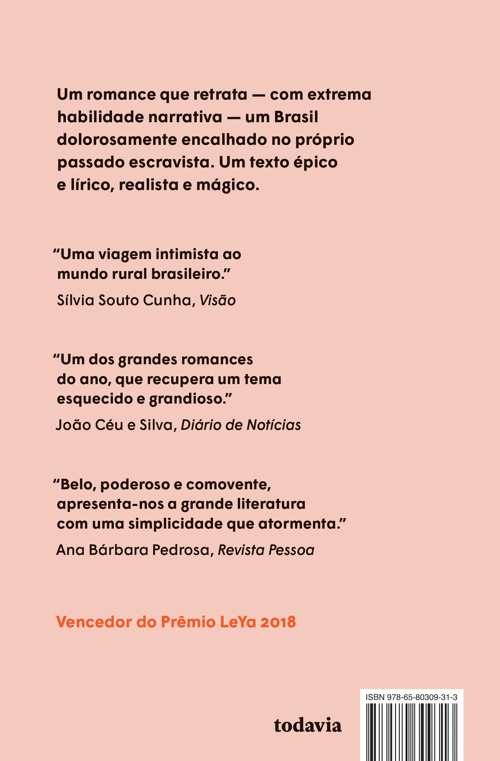Torto arado - Imagem 2