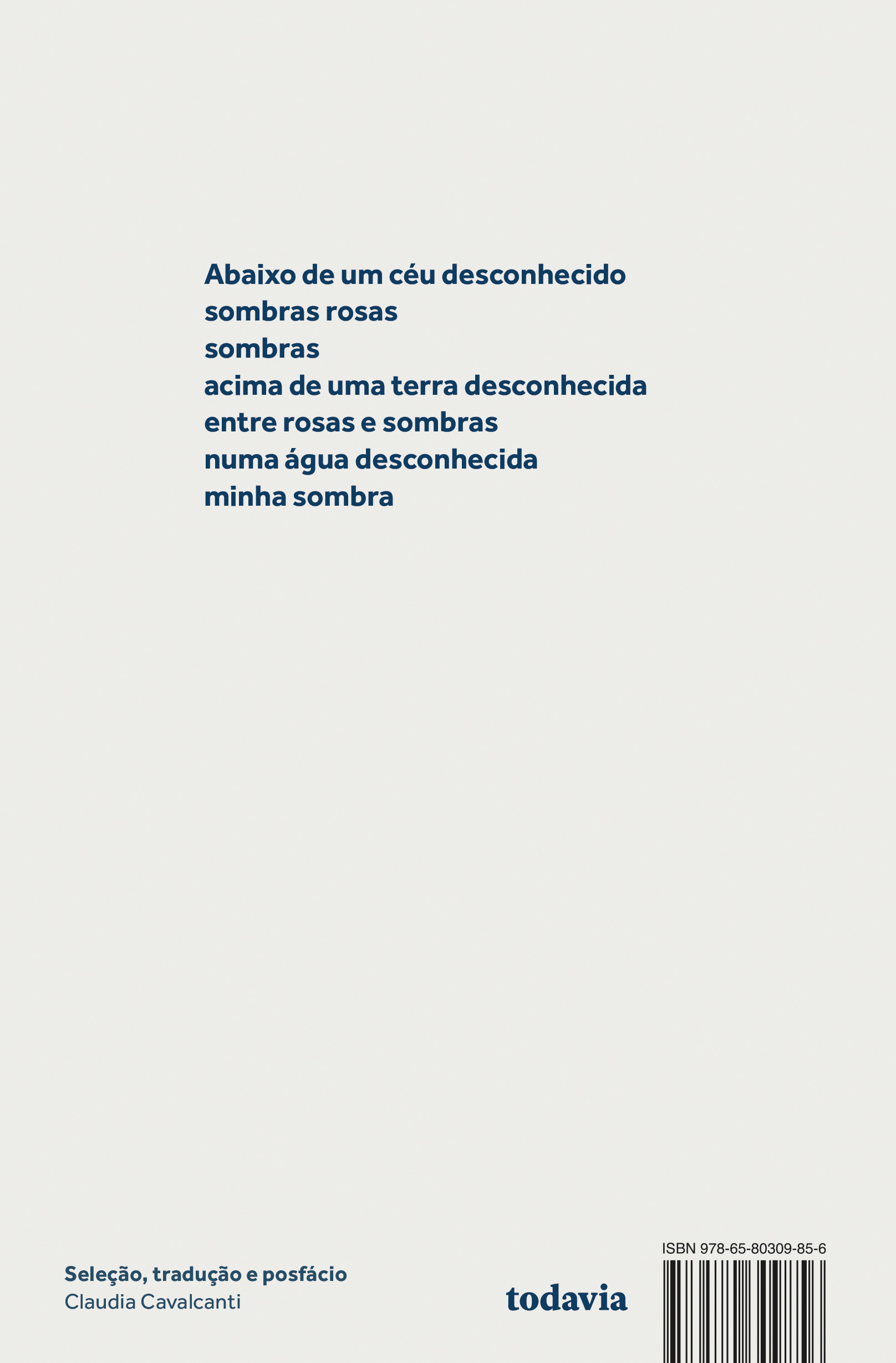 O tempo adiado e outros poemas - Imagem 2