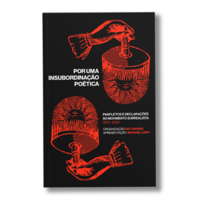 Por uma insubordinação poética