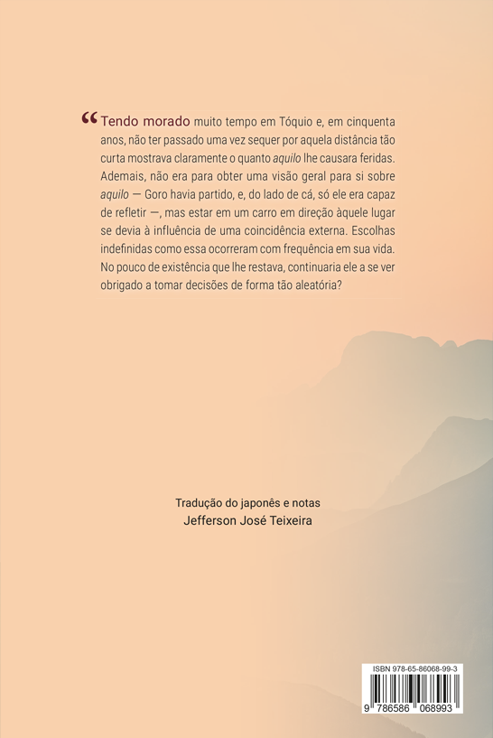 O menino da triste figura - Imagem 2