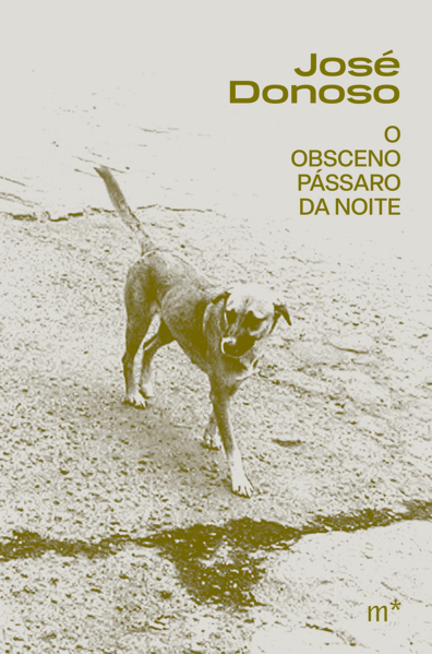 O obsceno pássaro da noite