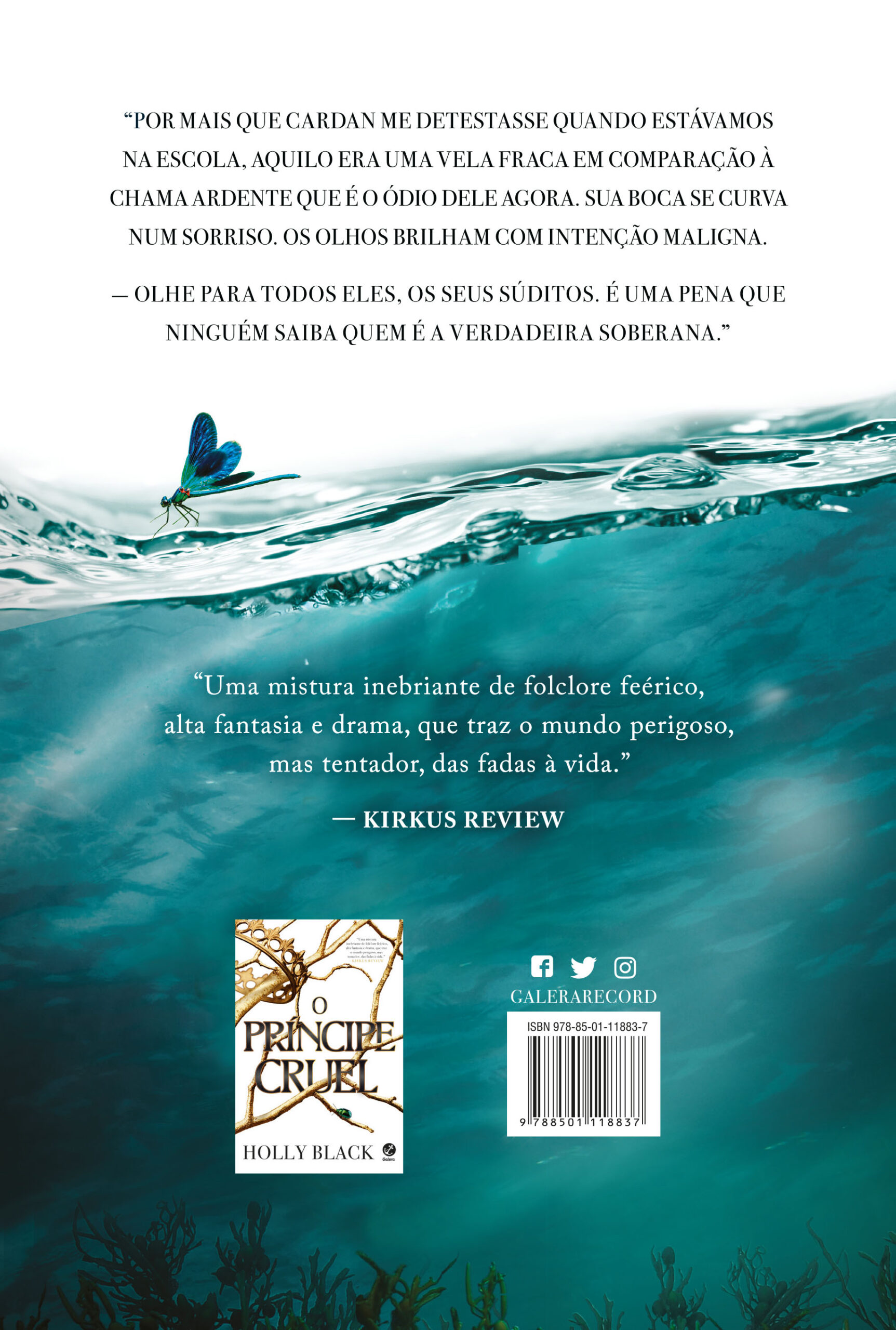 O rei perverso (Vol. 2 O Povo do Ar) - Imagem 2