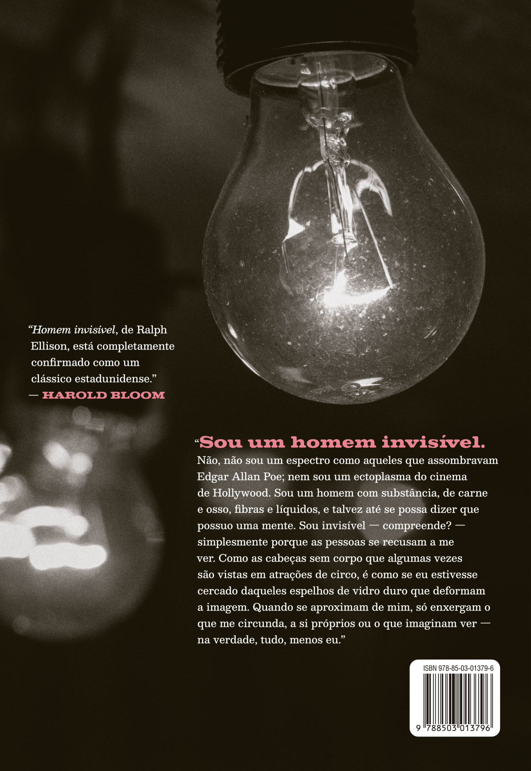Homem invisível - Imagem 2