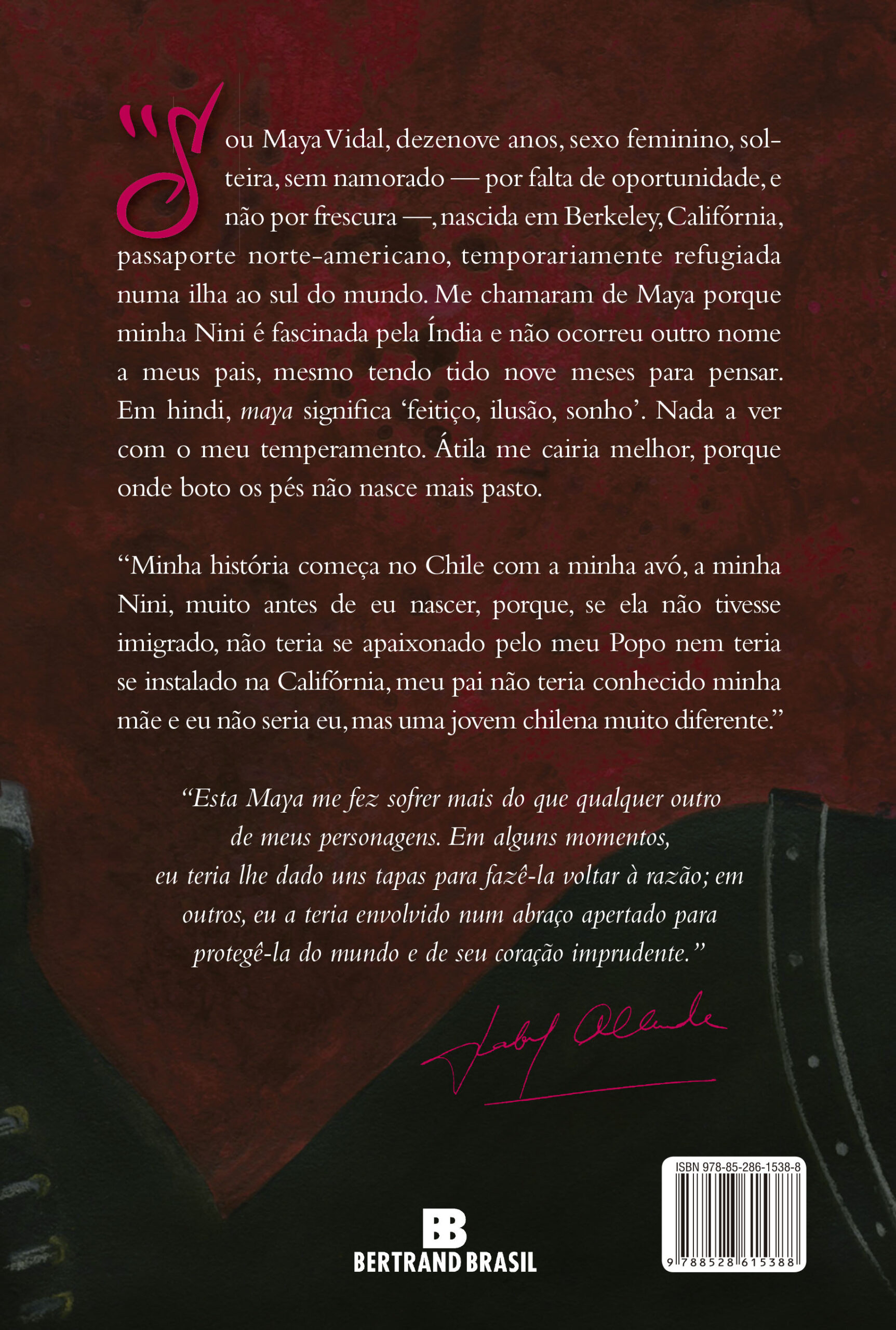 O caderno de Maya - Imagem 2