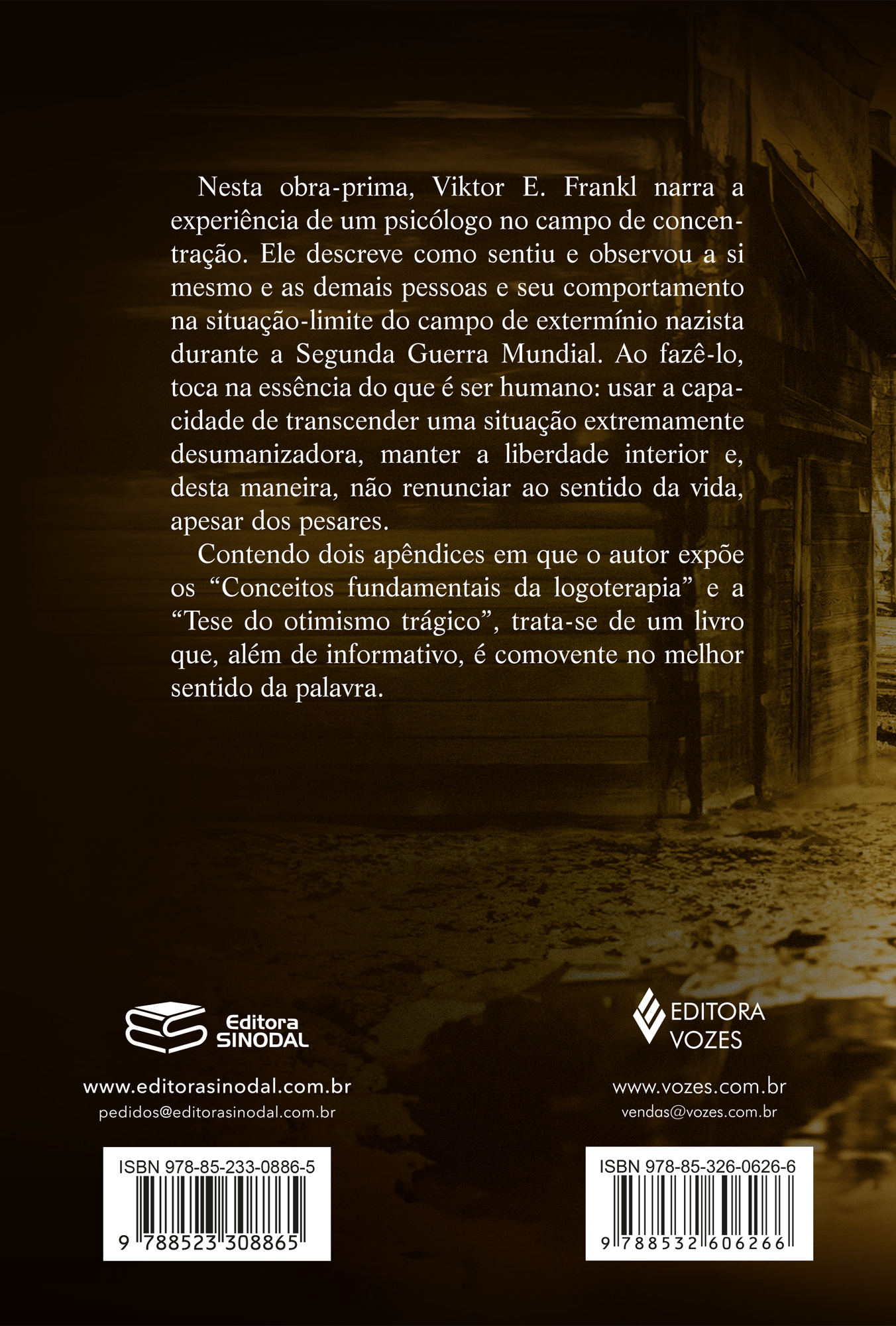 Em busca de sentido - Imagem 2