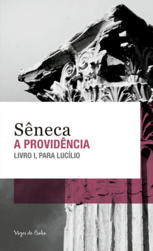 A providência - Ed. Bolso