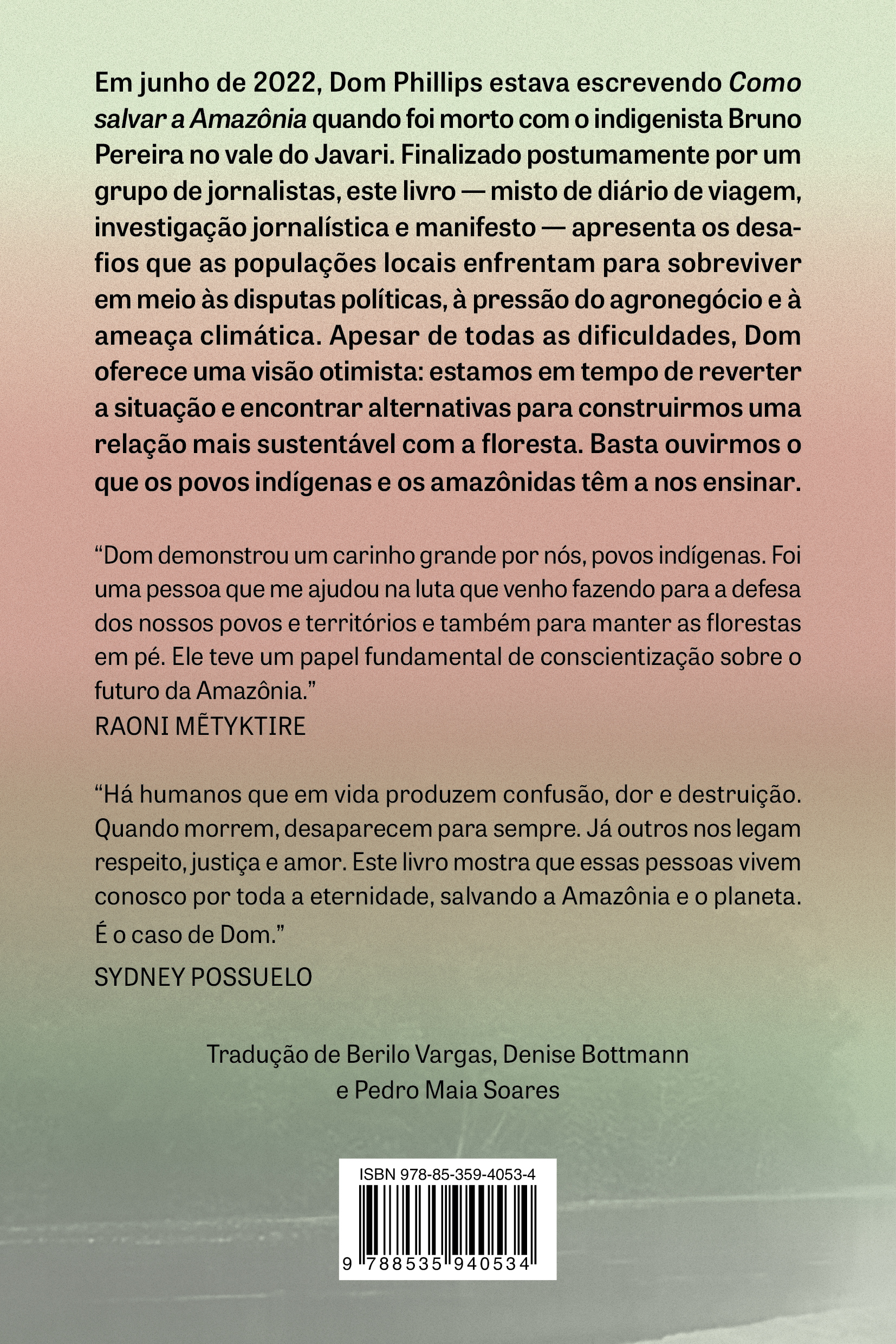 Como salvar a Amazônia - Imagem 2