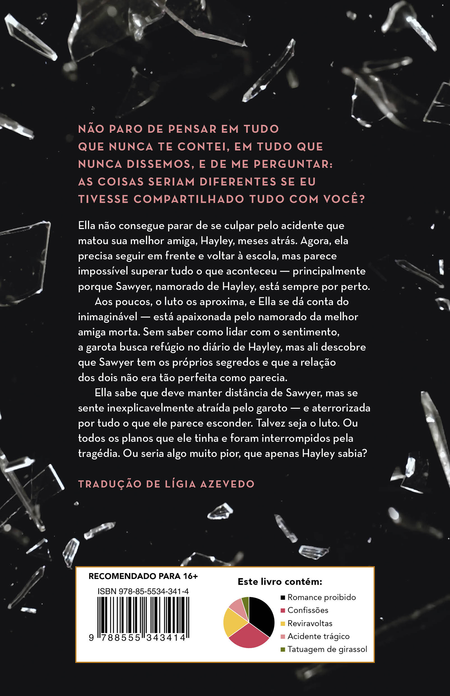 Tudo que nunca dissemos - Imagem 2