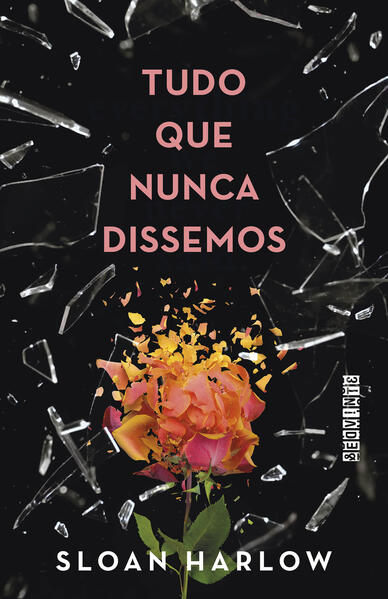 Tudo que nunca dissemos