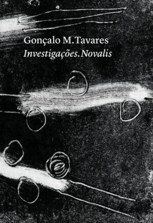 Investigações. Novalis