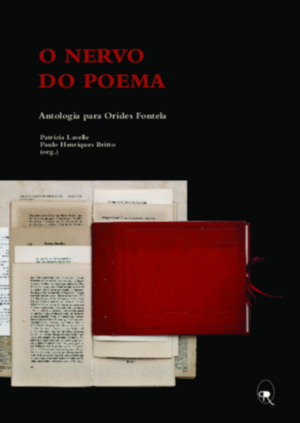 O nervo do poema