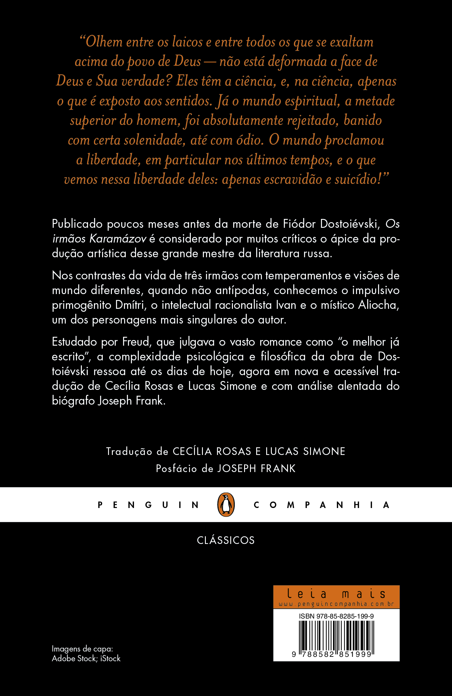 Os irmãos Karamázov - Imagem 2