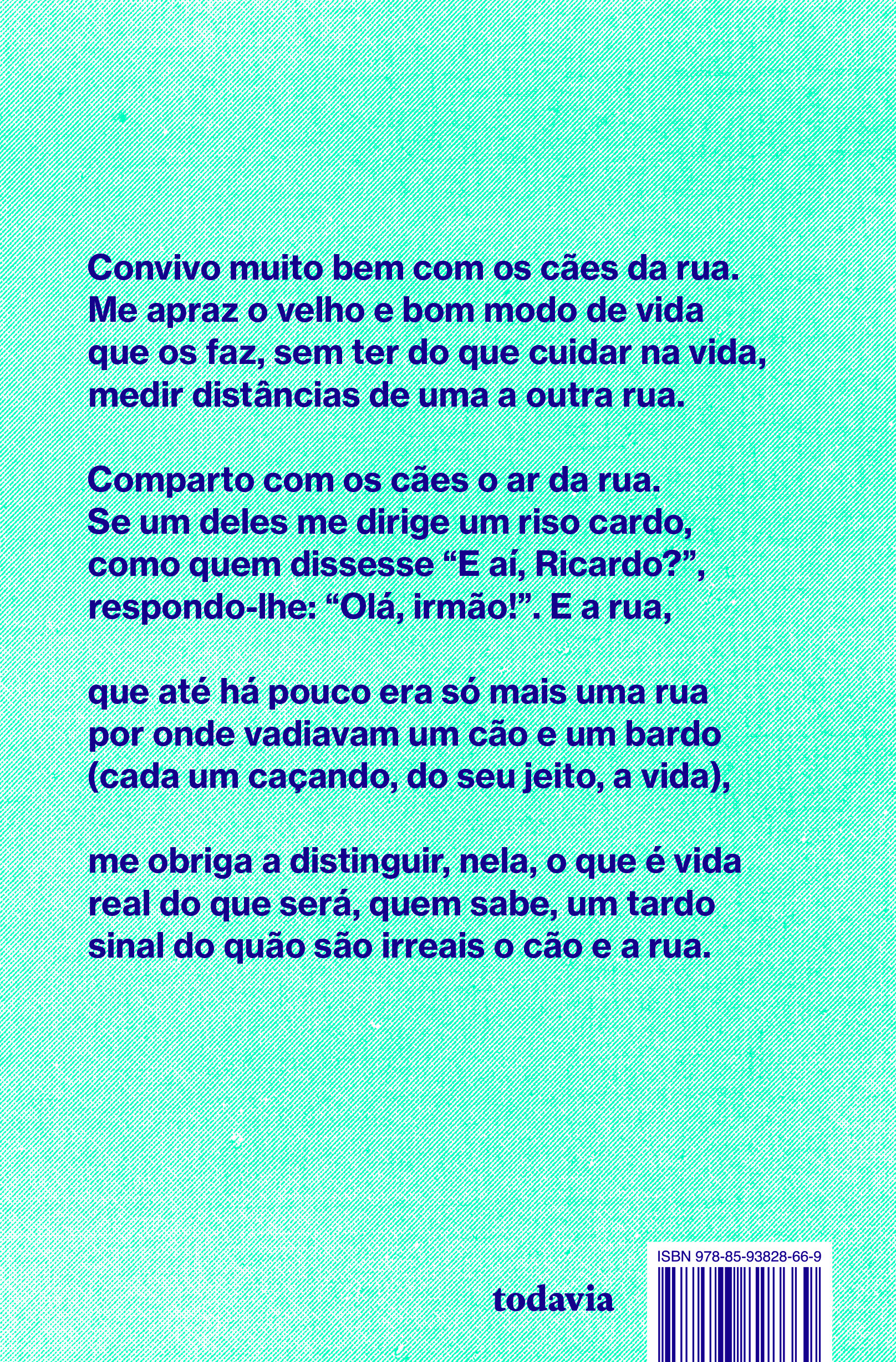Pesado demais para a ventania - Imagem 2