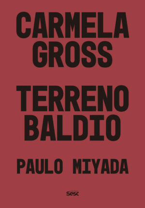 Terreno Baldio