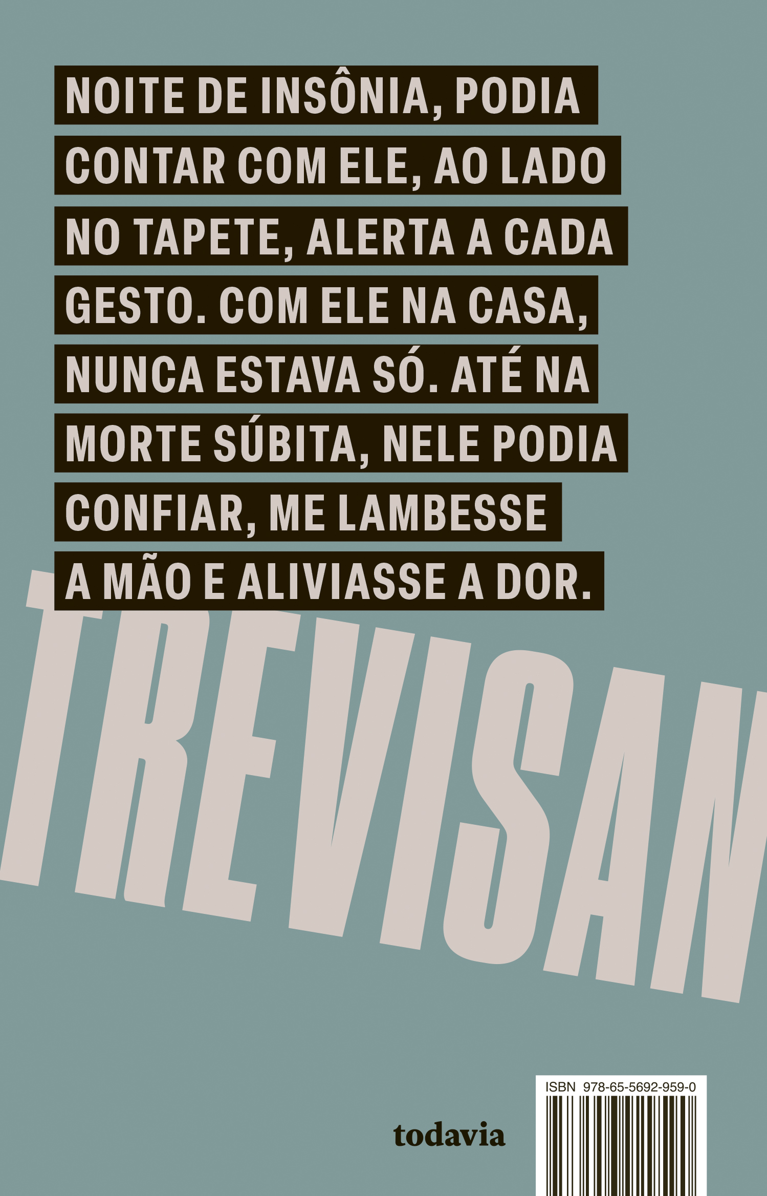 Dinorá - Imagem 2