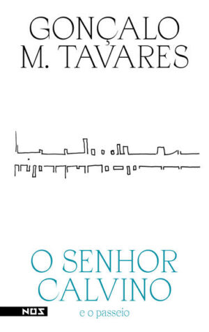 O senhor Calvino