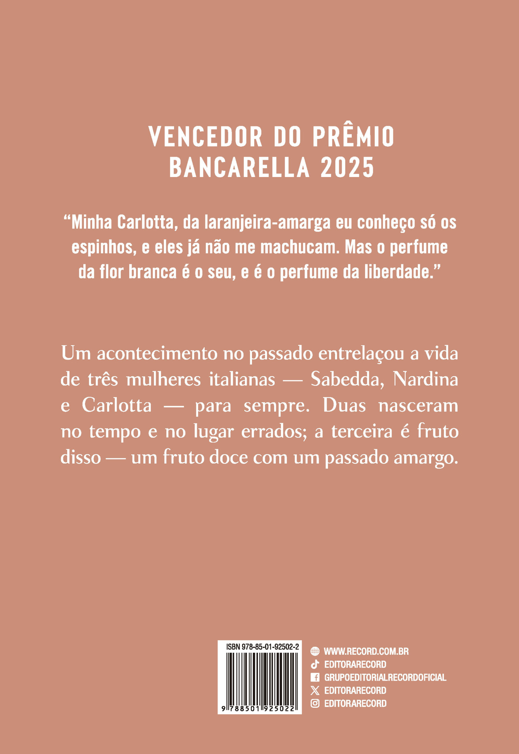 Como laranja amarga - Imagem 2